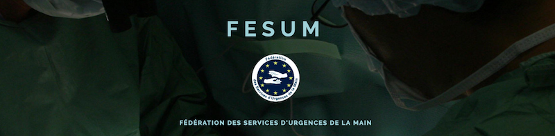 Lien vers la FESUM Lien vers la FESUM