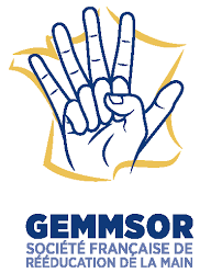 GEMMSOR