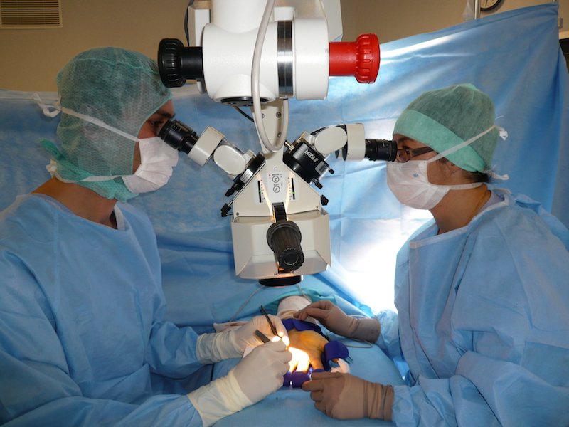 Microchirurgie de la main