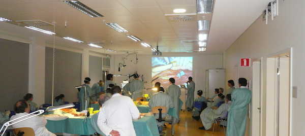 European Surgical Training Center